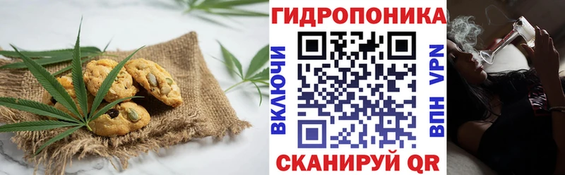Купить  Кохма  Печенье с ТГК марихуана 